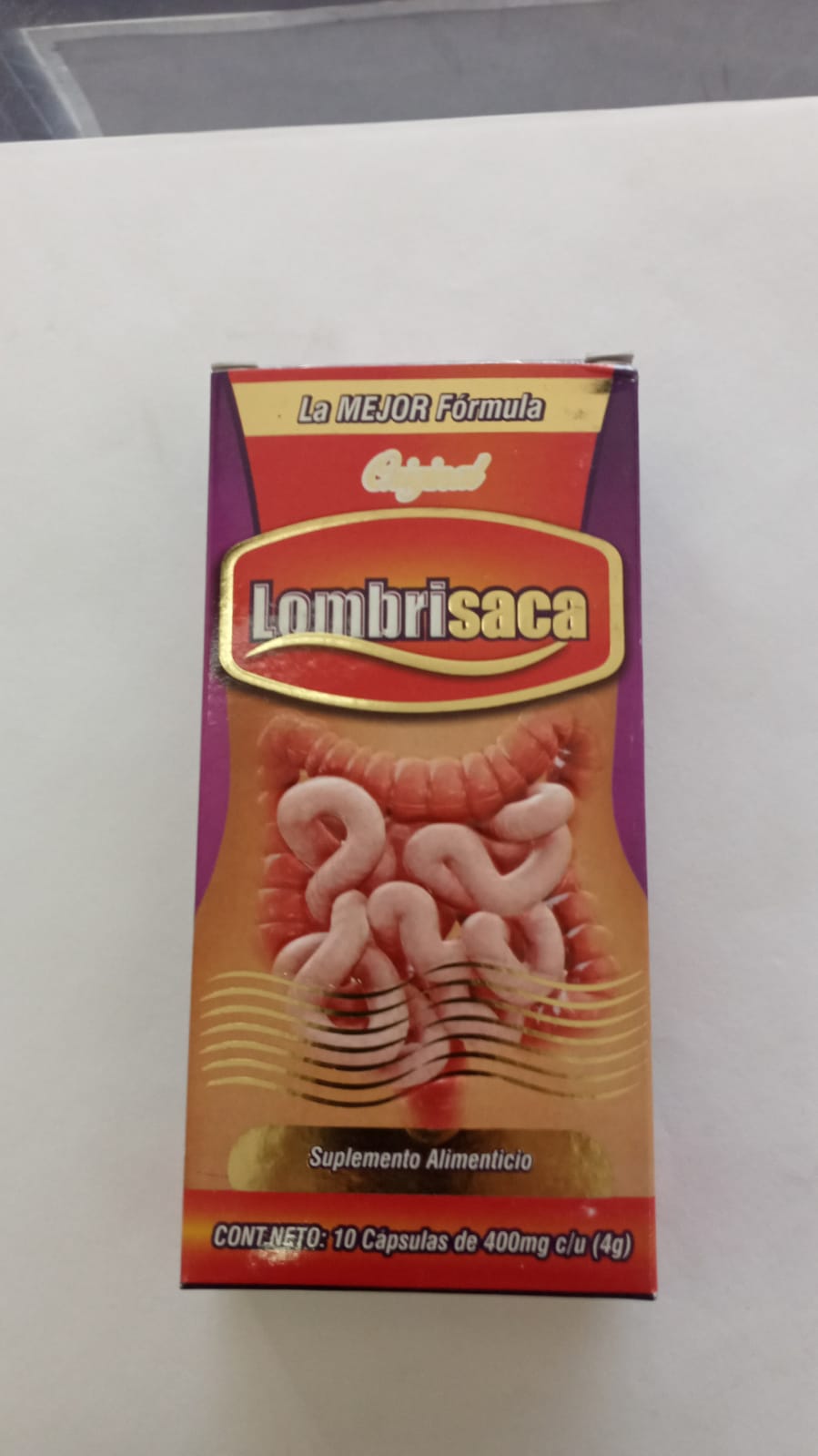 LOMBRISACA PROVIDA