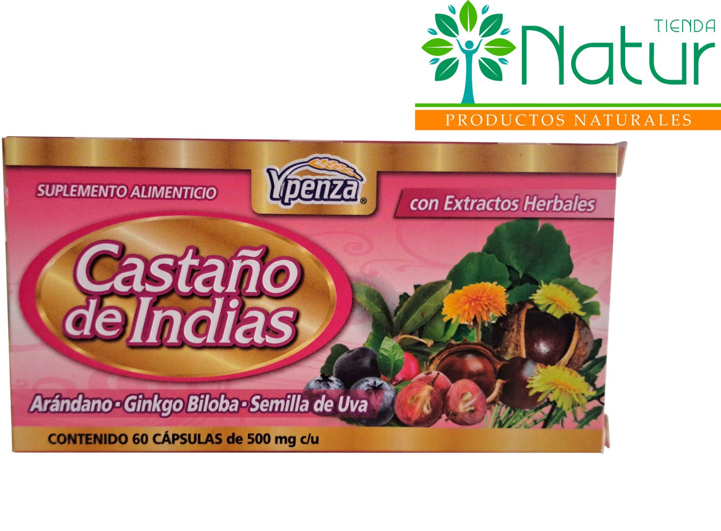 CASTAÑO DE INDIAS 60 CAPS